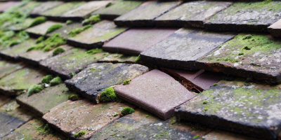 Caunton roof repair costs